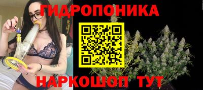 гашик Заводоуковск