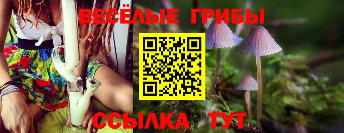 Псилоцибиновые грибы Psilocybine cubensis  Вход с VPN  Псилоцибиновые грибы Cubensis  Бирск 